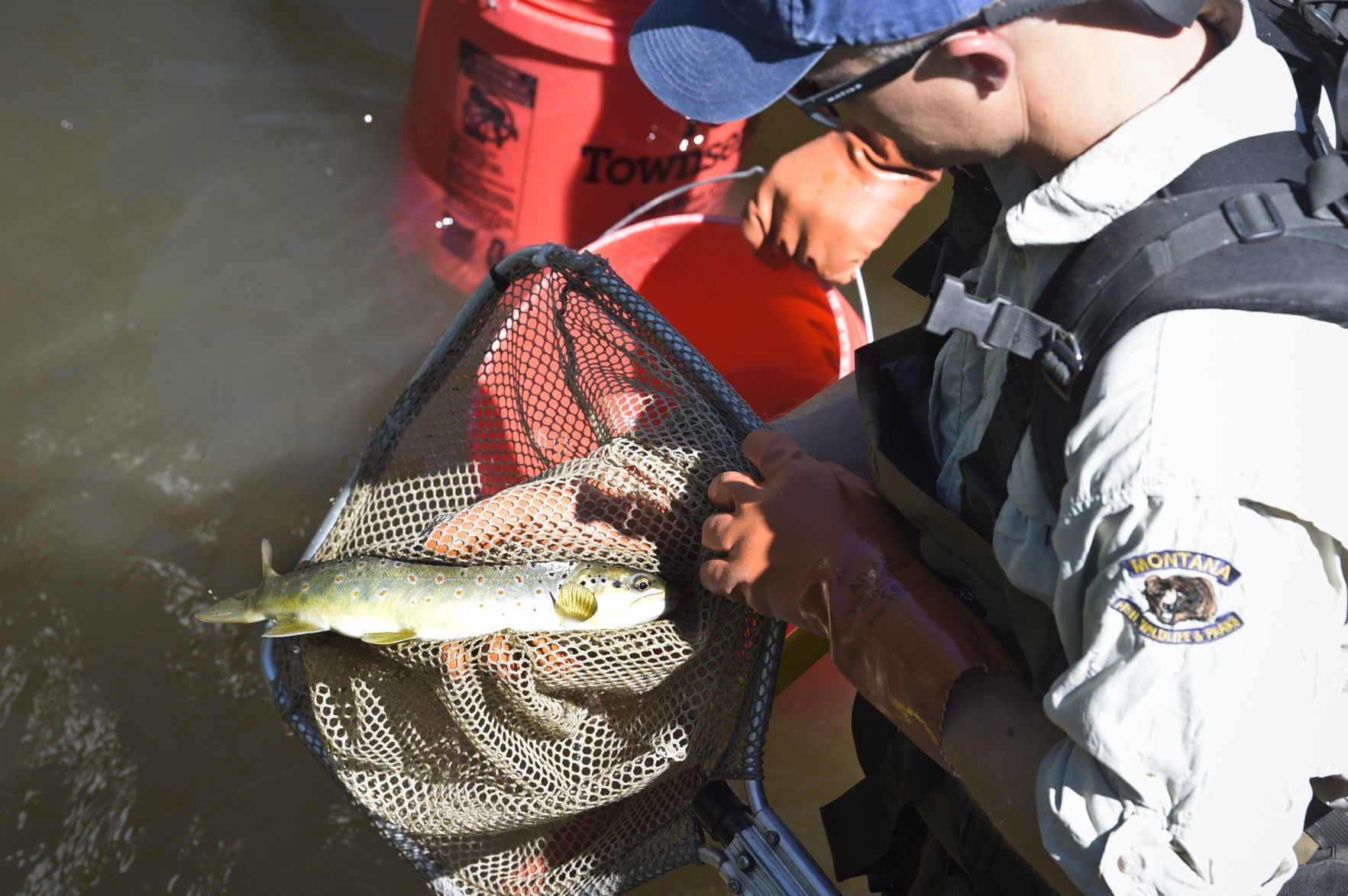 Biologists examine a fish